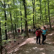 Poziv: Radionica radne skupine za osobe s invaliditetom (OSI)