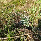 e-letak ožujak 2026.