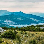 Predavanje Vladimira Rojnića 