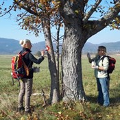 Uređenje planinarskih putova oko Liča